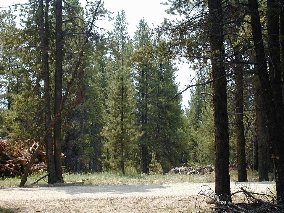 2nd image of 337 COUNTY ROAD 5221