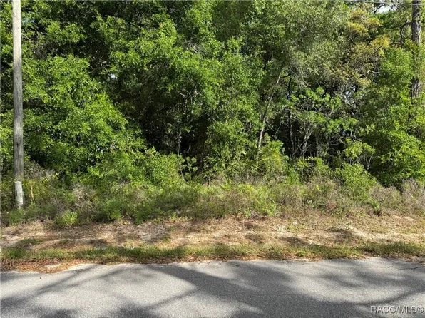 6623 W Gannet Pl, Crystal River, FL 34429