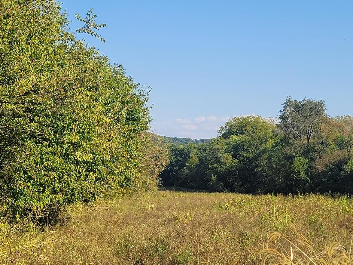 10113 S Crazy Hollow Rd, Hanover, IL 61041 | Zillow