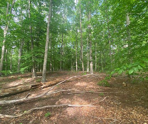 5th image of Bowlers Mill Run #0