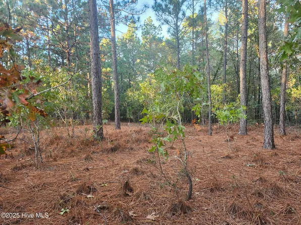 4 Brassie Circle, Jackson Springs, NC 27281