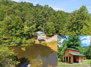 1101 Line Runner Ridge Rd, Rosman, NC 28772