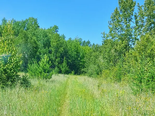 11172 County Road 25, Mizpah, MN 56660