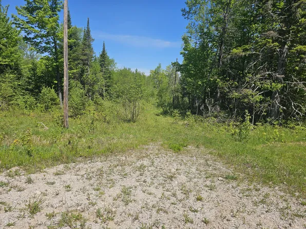 NULLA Gager Rd, Engadine, MI 49827