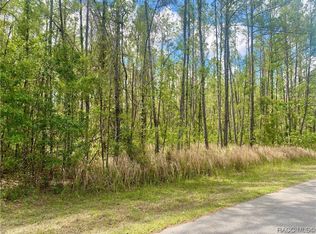 241 E Reel Loop, Citrus Springs, FL 34434