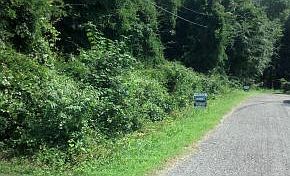 5th image of 121 Pinetree Dr
