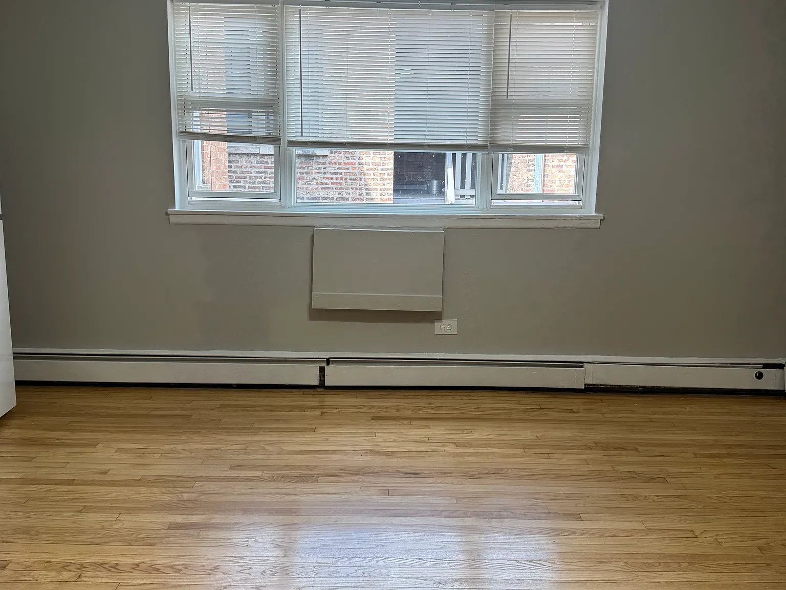 Studio, 550 sqft, $875 — Photo 3