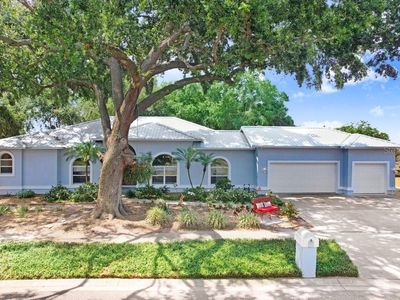 613 Sportsman Park Dr, Seffner, FL, 33584