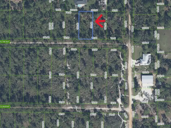 1602 NECTAR Avenue, Sebring, FL 33875