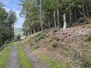 5th image of 320 Coon Creek Rd