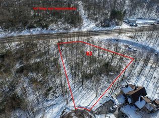 93 Black Diamond Ct, McHenry, MD 21541