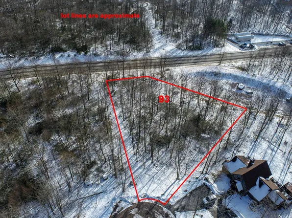 93 Black Diamond Ct, McHenry, MD 21541