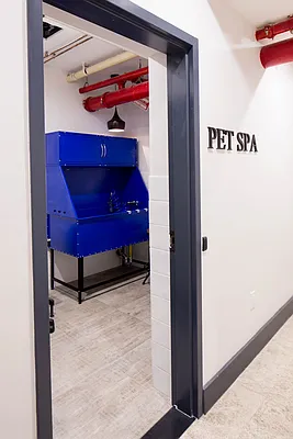 Rented by Nooklyn NYC LLC | media 129