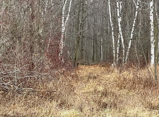 6082 Brady Rd, Palms, MI 48465