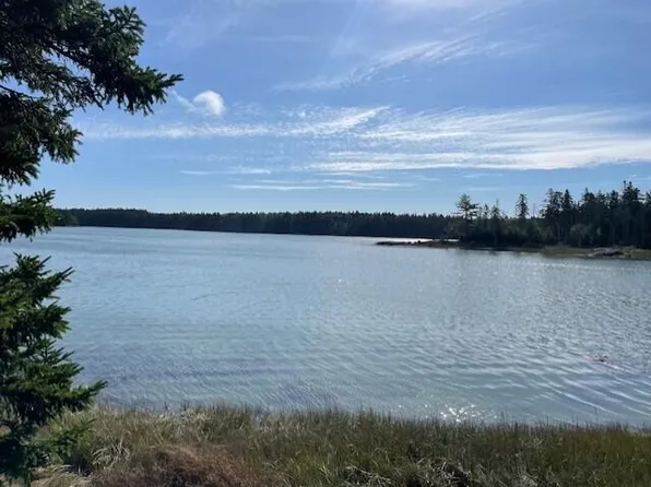 Lot 42-2 Blue Heron Way, Milbridge, ME 04658