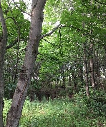 4th image of 3272 County Route 17