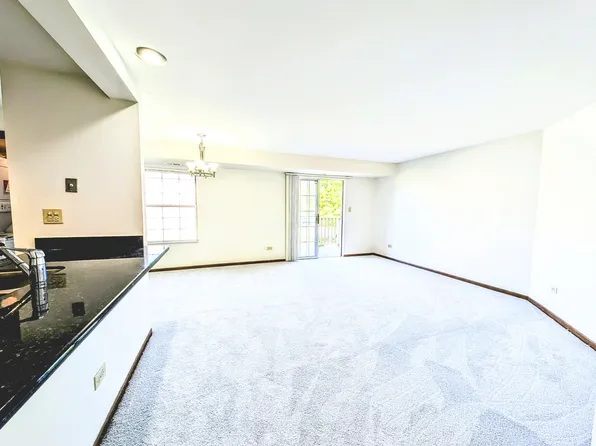 1751 Sleepy Hollow Ct APT 7, Schaumburg, IL 60195