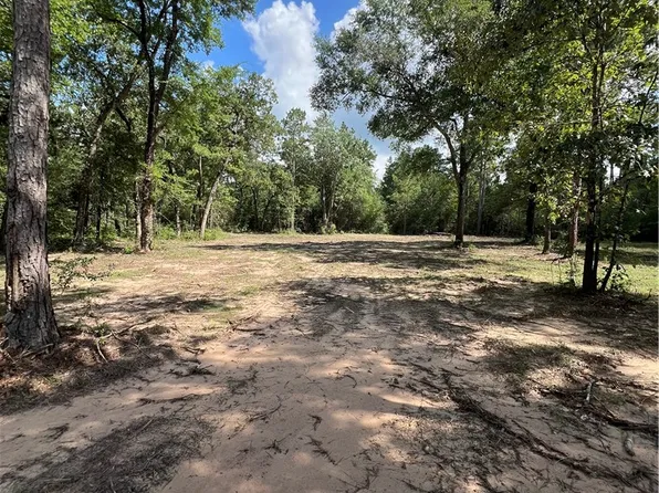 LOT 2 Deerwood Dr, Plantersville, TX 77363