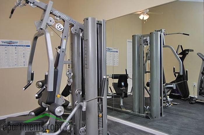 Apollo 250 2024 home gym