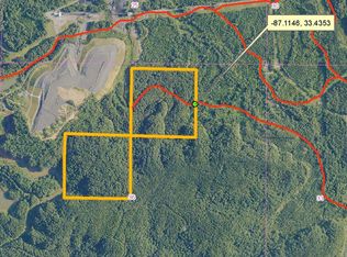 0 Unnamed Rd, Adger, AL 35006