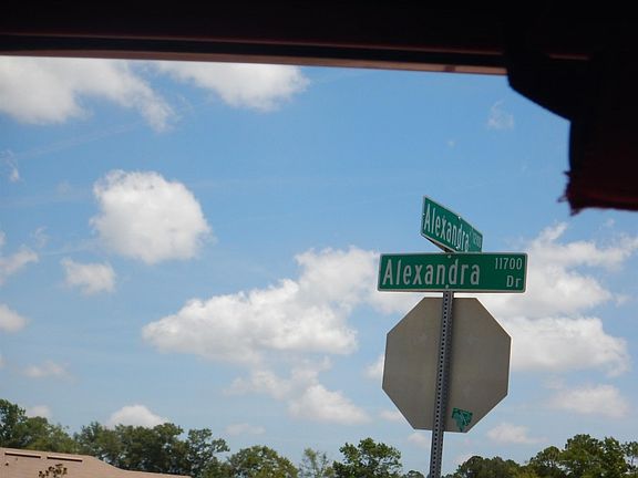 5th image of 11835 Alexandra Dr