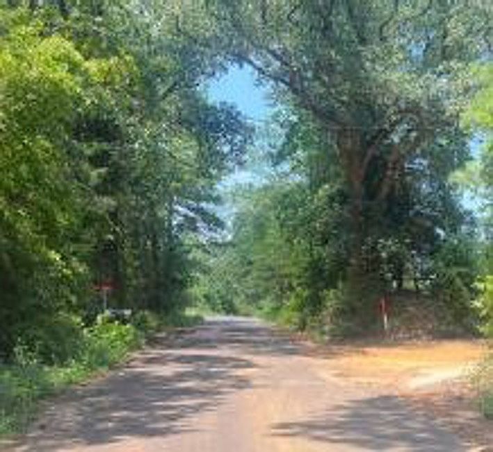 Exterior Neighborhood (street photo)