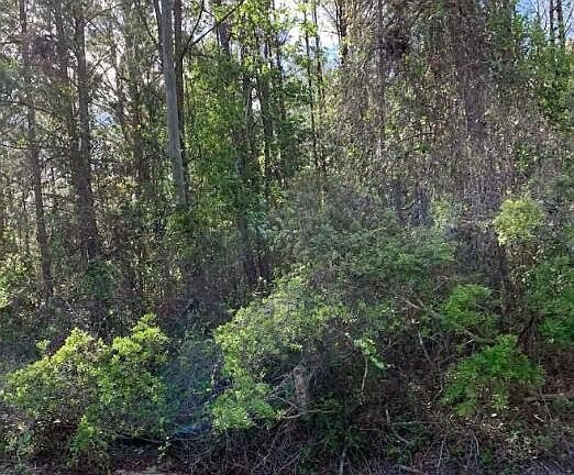 3rd image of 6378 COUNTY ROAD 315C