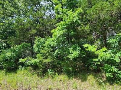 Lot 3-5 Stone Road, Rockaway Beach, MO, 65740