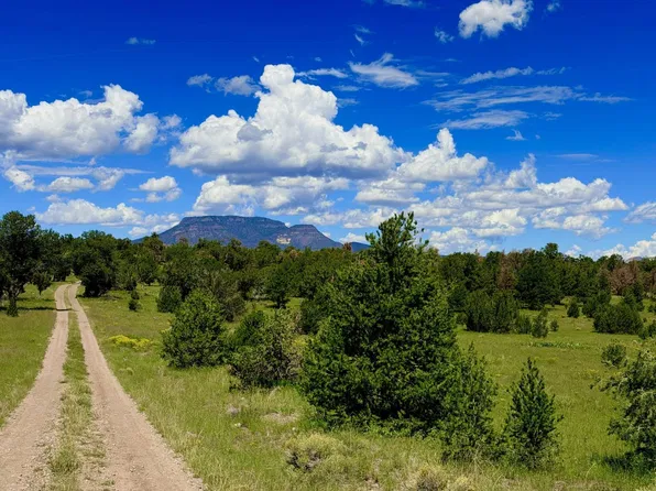 /barrego Dr #10, Datil, NM 87821