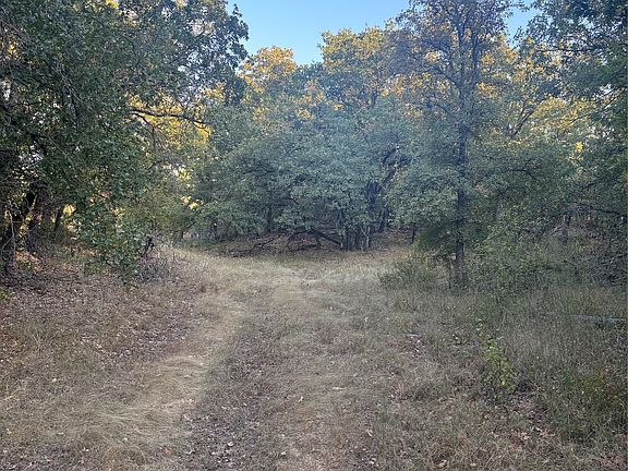 4th image of 316 County Rd #458