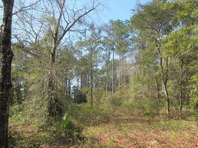 Lot 1 Bay Grove Road, Freeport, Fl 32439, Freeport, FL, 32459