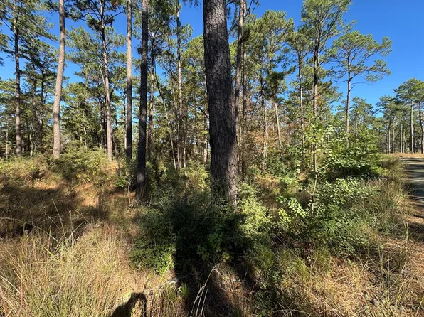 LOT 16 Private Road 6028, Brookeland, TX 75931