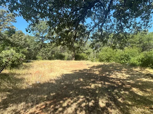 17232 Golden Arrow Trl, Rackerby, CA 95972