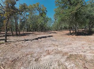 NE 16th Pl LOT 1, Williston, FL 32696
