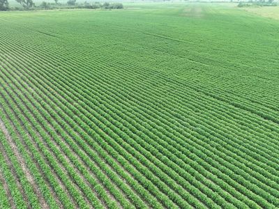 0 45th St NE, Benson, MN, 56215