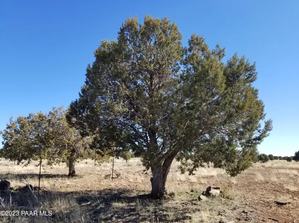 2 305a Off, Ash Fork, AZ 86320