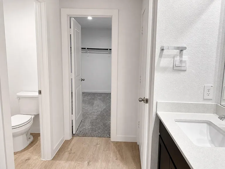 30414 Brixton Village St — Photo 11
