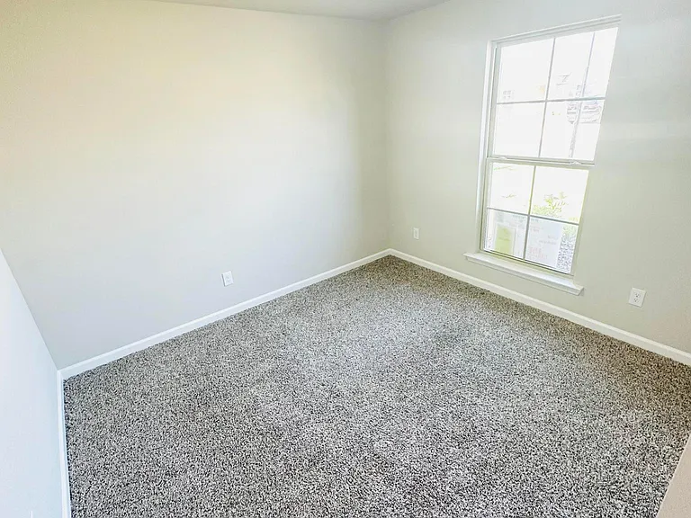 3219 Ivy Lake Dr — Photo 11
