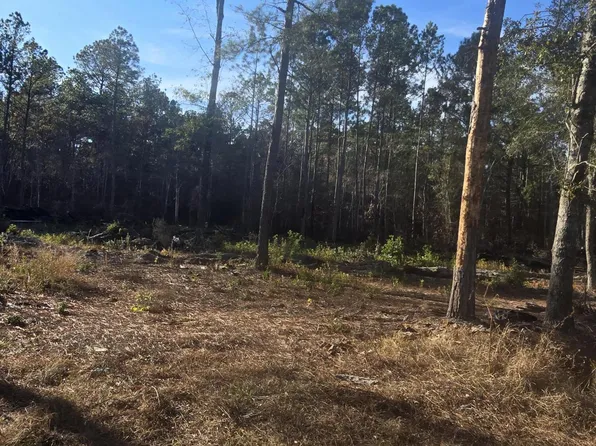 Tbd Langfordville Road, Ridgeland, SC 29936
