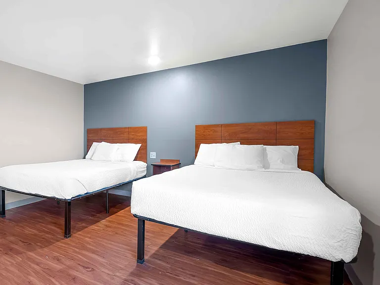 Studio Suite - 2 Queen Beds