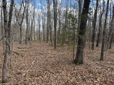Tract III Lot A Jettsen Drive, Rogersville, MO, 65742