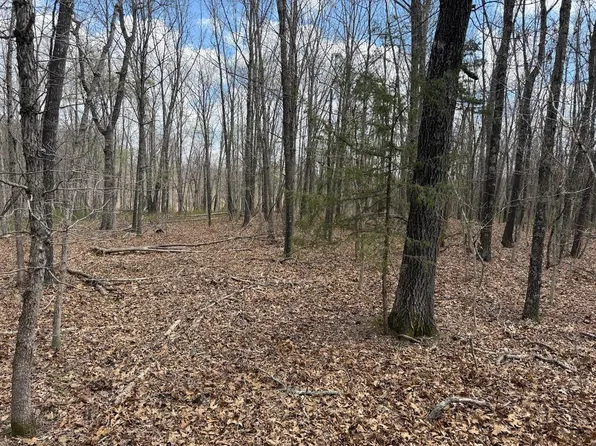 Tr 3 Lot E Crozby Drive, Rogersville, MO 65742