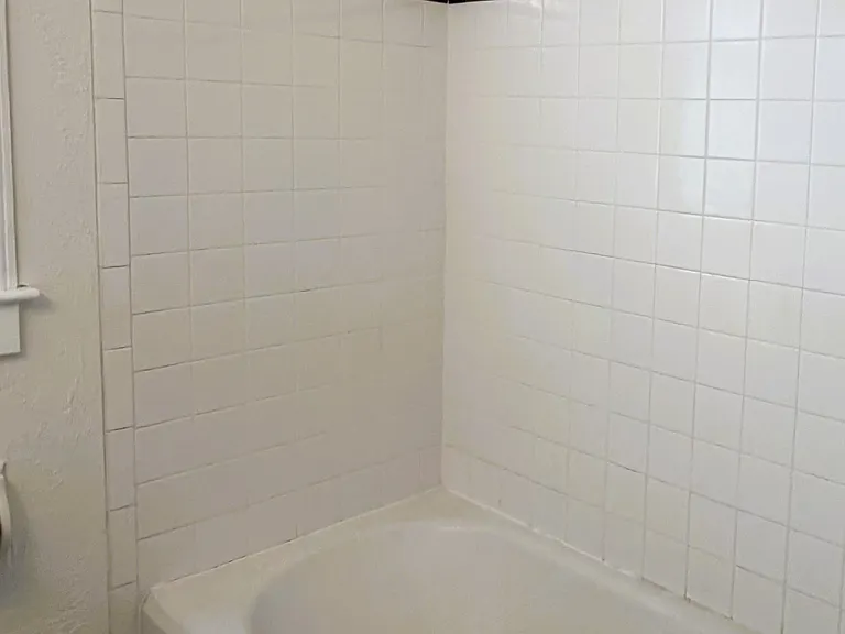 Shower Bath