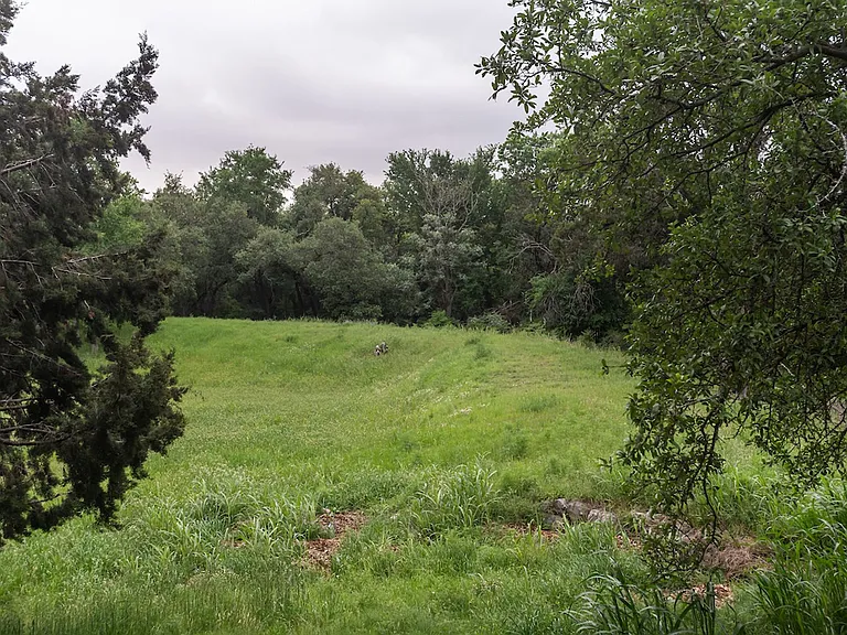 11513 Juniper Ridge Dr — Photo 32