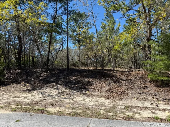 10776 N Moreno Dr, Citrus Springs, FL 34433