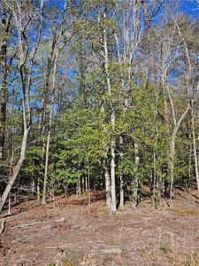 LOT 9 Hickory Hill Ln LOT 9, Gloucester, VA, 23061