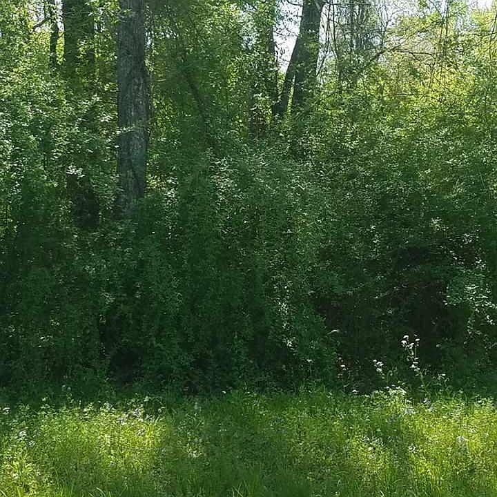 1st image of Greenwood Ln