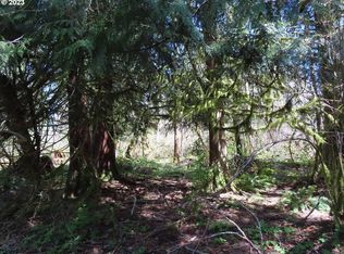 241 Sand Creek Ln, Morton, WA