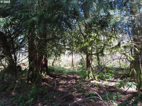 241 Sand Creek Ln, Morton, WA 98356