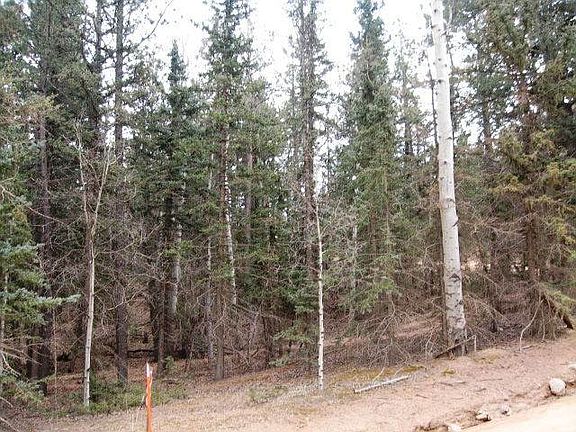 Kutsu Ridge 10.28.15 020